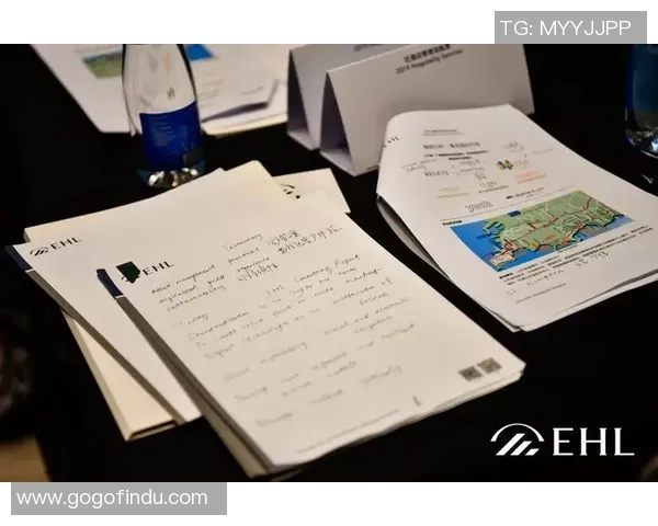 杭州羽毛球队在洲际杯中的蜕变与新篇章探索之旅